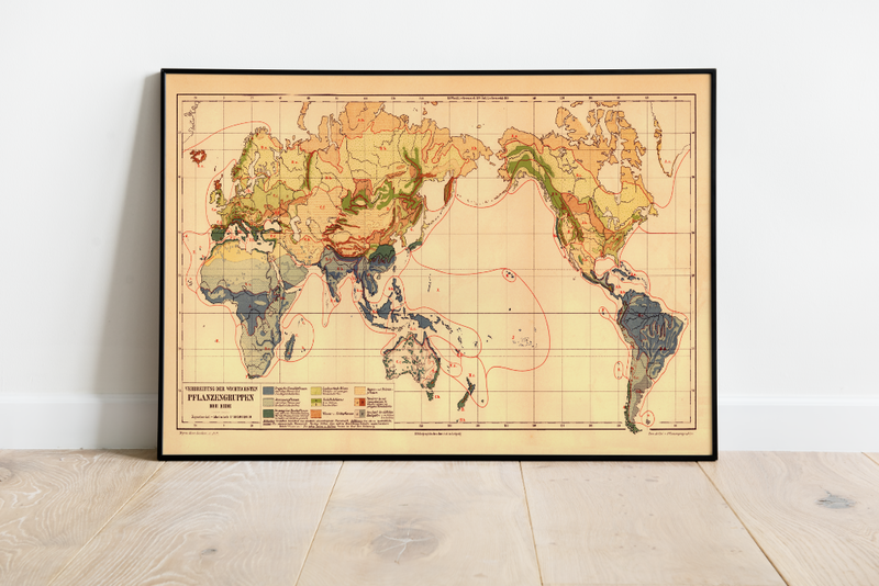 Das Poster einer Karte zur Verbreitung der wichtigsten Pflanzengruppen der Erde ist eine Vintage Lithographie aus Meyers Koversations-Lexikon aus dem Jahr 1890. 