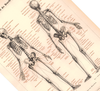 Das Poster eines menschlichen Skeletts ist eine Vintage Lithographie aus Meyers Koversations-Lexikon aus dem Jahr 1890.