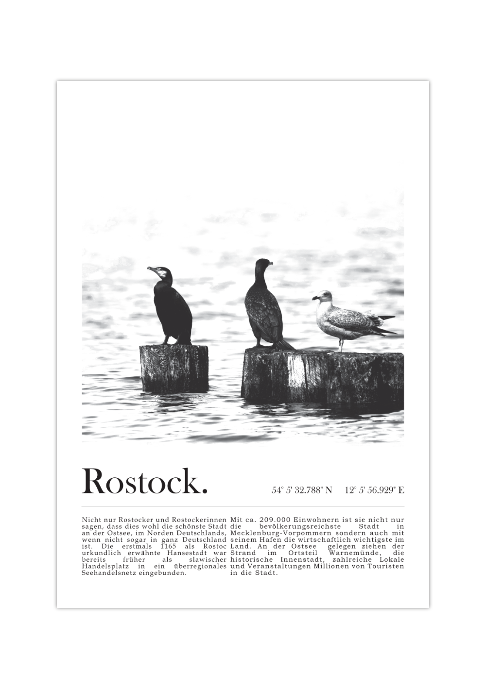 Poster Hansestadt Rostock | Ostsee Schwarz – Möwen MrTKBooker Weiß
